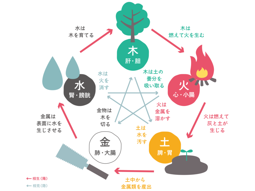 Five elements theory chart of the Oriental Medicine